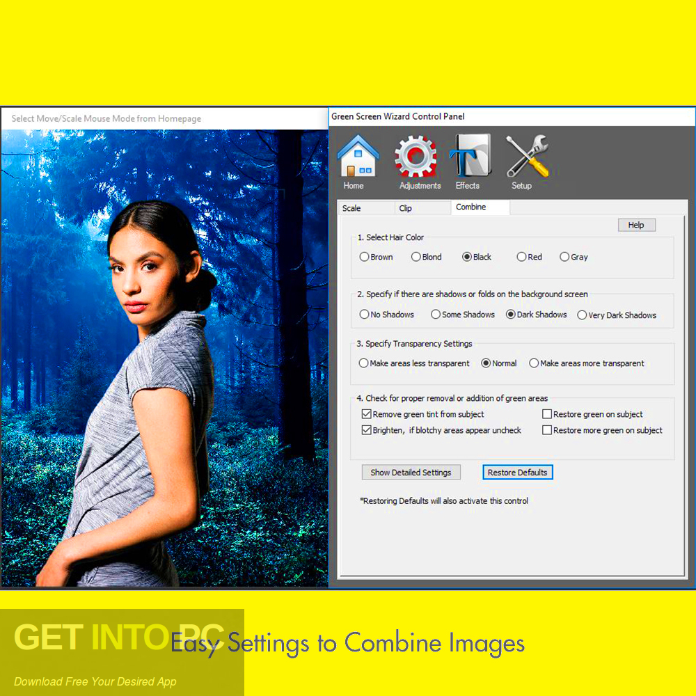 Green Screen Wizard Professional 12.4 download the last version for windows